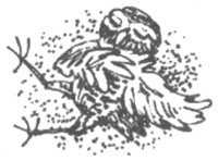 Ночные стражи. Изгнанник Ночные стражи. Изгнанник