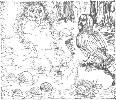 Ночные стражи. Изгнанник Ночные стражи. Изгнанник