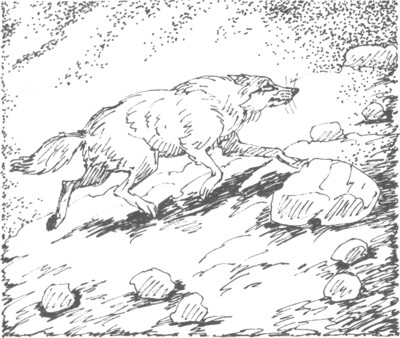 Ночные стражи. Изгнанник Ночные стражи. Изгнанник