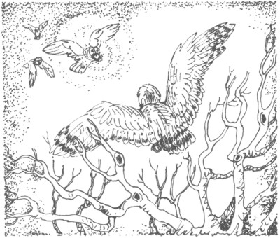 Ночные стражи. Изгнанник Ночные стражи. Изгнанник