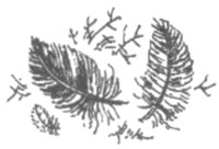 Ночные стражи. Изгнанник Ночные стражи. Изгнанник