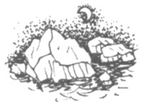 Ночные стражи. Первый угленос Ночные стражи. Первый угленос