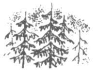 Ночные стражи. Первый угленос Ночные стражи. Первый угленос