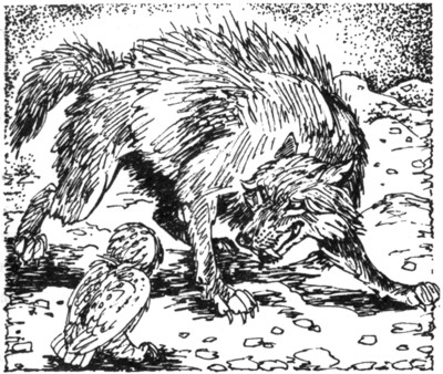 Ночные стражи. Первый угленос Ночные стражи. Первый угленос