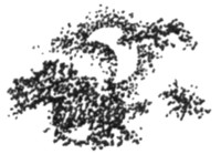 Ночные стражи. Первый угленос Ночные стражи. Первый угленос