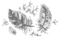 Ночные стражи. Первый угленос Ночные стражи. Первый угленос