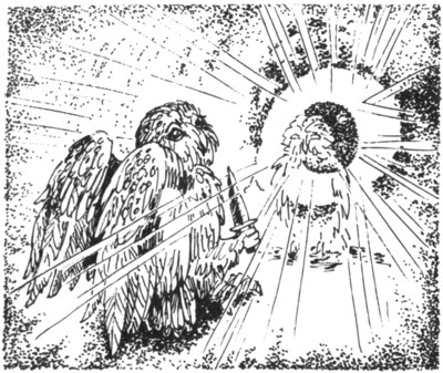 Ночные стражи. Первый угленос Ночные стражи. Первый угленос