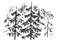 Ночные стражи. Первый угленос Ночные стражи. Первый угленос