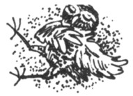 Ночные стражи. Первый угленос Ночные стражи. Первый угленос