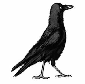 Ворон Ворон