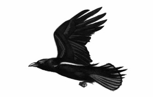 Ворон Ворон