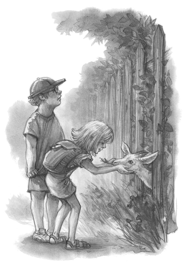 Домик над обрывом Домик над обрывом