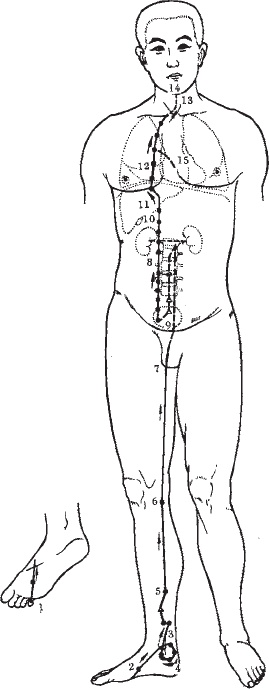 Ба-Дуань-Цзинь (Восемь кусков парчи)