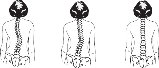 Справочник по лечебному массажу и самомассажу. От диагноза к лечению