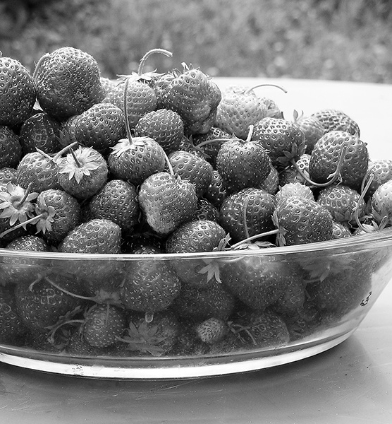 Консервирование для всех, кому за… Быстрые и проверенные рецепты