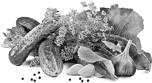 Консервирование для всех, кому за… Быстрые и проверенные рецепты