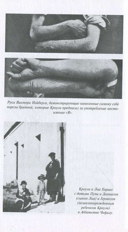 Мегатерион