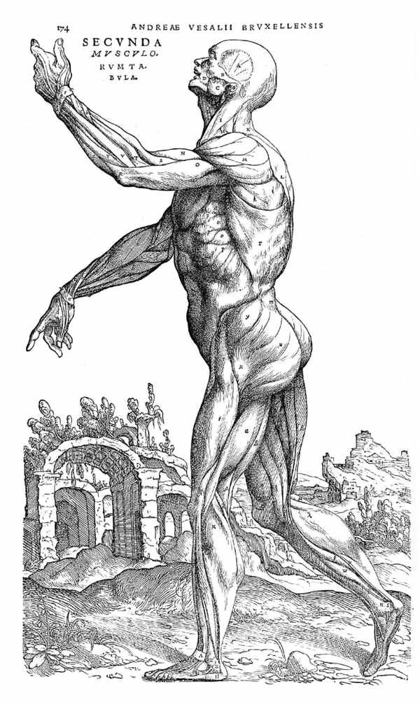 Эпоха открытий. Возможности и угрозы второго Ренессанса Эпоха открытий. Возможности и угрозы второго Ренессанса