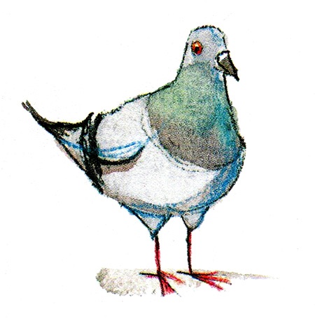 Мой папа - птиц Мой папа - птиц