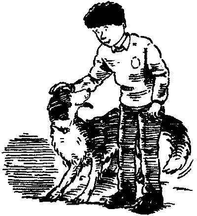 Красный, как огонь Красный, как огонь