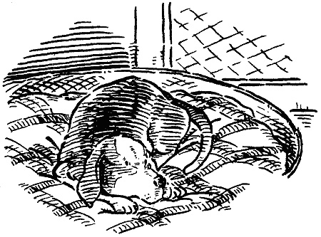 Похищение века Похищение века