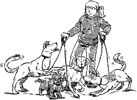 Похищение века Похищение века