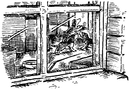 Похищение века Похищение века