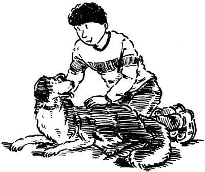 Собачье счастье Собачье счастье