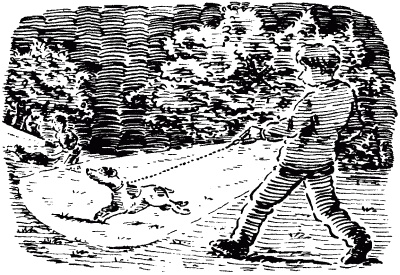 Собачье счастье Собачье счастье