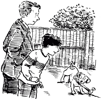 Собачье счастье Собачье счастье