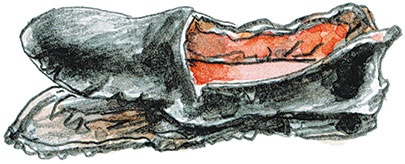 Лёля и Минька (сборник) Лёля и Минька (сборник)
