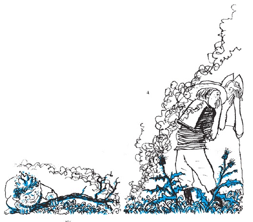 Подарки фей Подарки фей