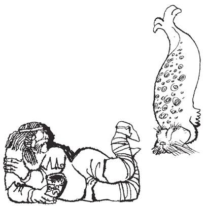 Подарки фей Подарки фей