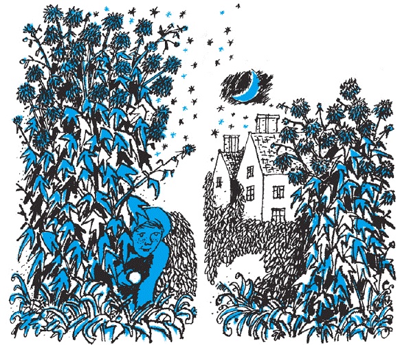 Подарки фей Подарки фей