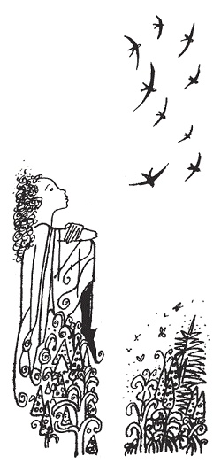 Подарки фей Подарки фей