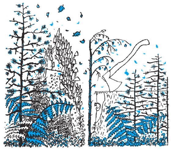 Подарки фей Подарки фей