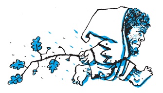 Подарки фей Подарки фей