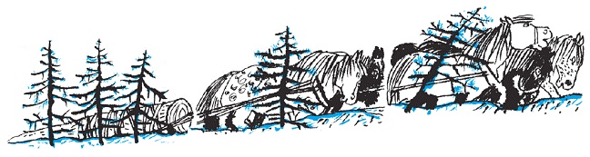 Подарки фей Подарки фей