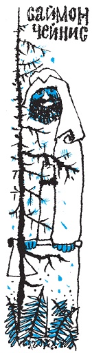 Подарки фей Подарки фей