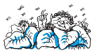 Подарки фей Подарки фей