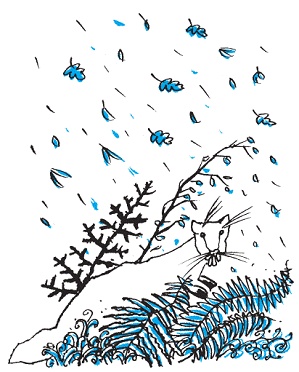 Подарки фей Подарки фей