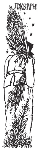 Подарки фей Подарки фей