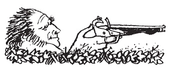 Подарки фей Подарки фей