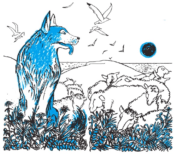 Подарки фей Подарки фей