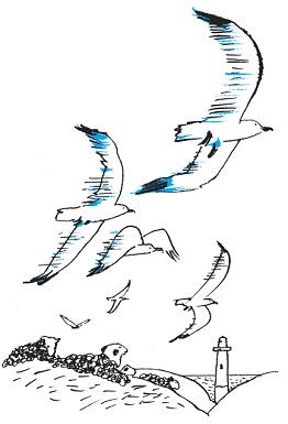 Подарки фей Подарки фей