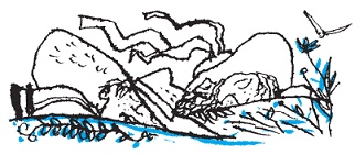 Подарки фей Подарки фей