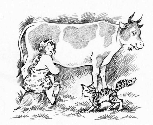 О пушистых кошечках О пушистых кошечках