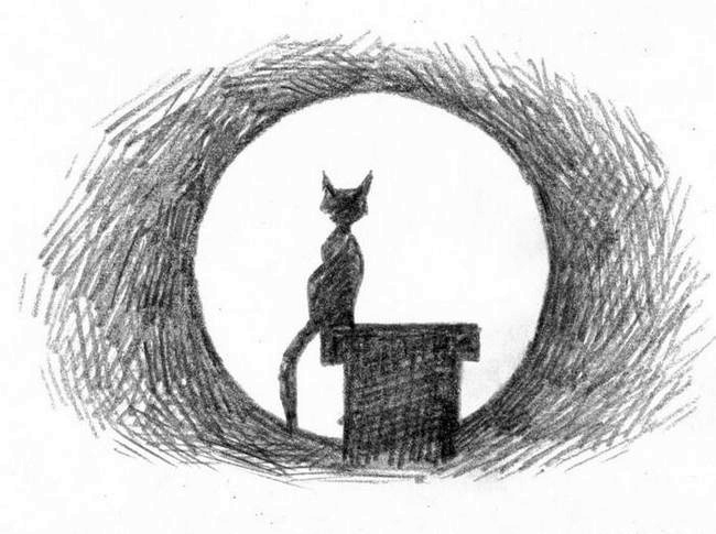 О пушистых кошечках О пушистых кошечках