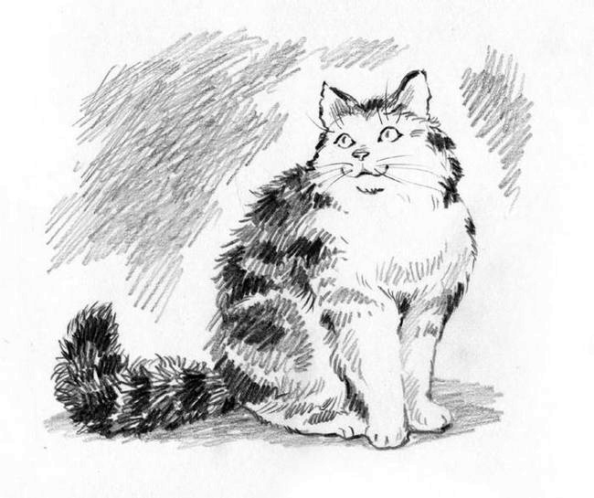 О пушистых кошечках О пушистых кошечках