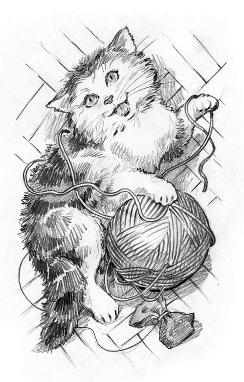 О пушистых кошечках О пушистых кошечках